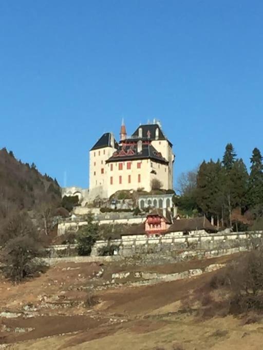 Maison De Vacances 220M2 Vue Lac Et Chateau Menthon-Saint-Bernard Eksteriør bilde